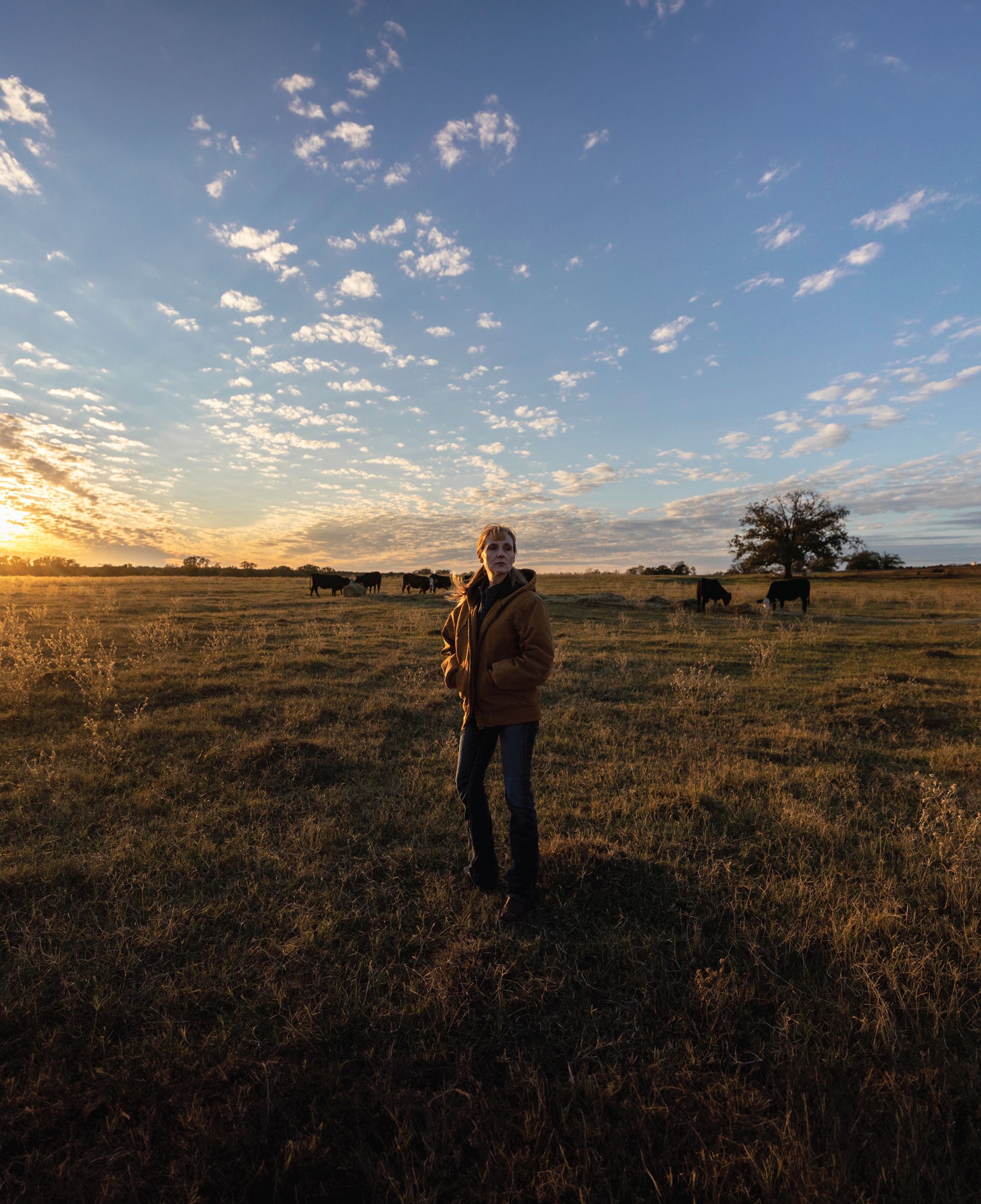 Young woman standing in a grassy pasture at sunset with cattle grazing and a large tree in the distance.